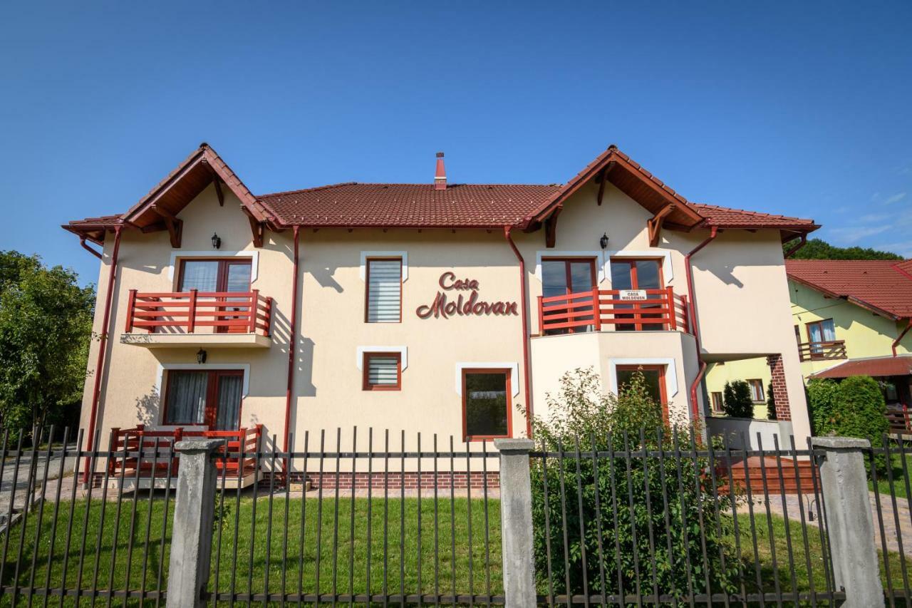 Casa Moldovan Sovata Ngoại thất bức ảnh
